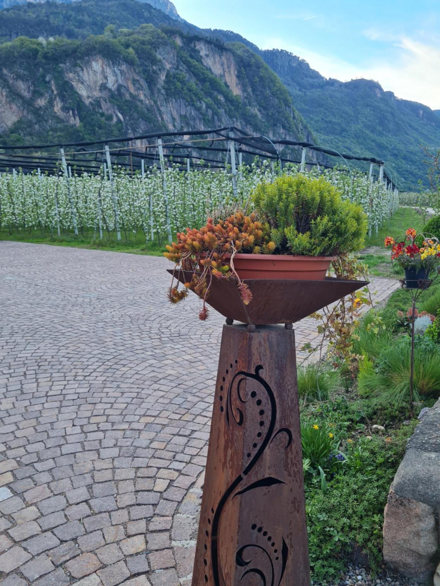 Versigglhof Eppan an der Weinstraße Exterior foto